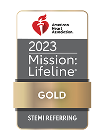 STEMI Gold Logo